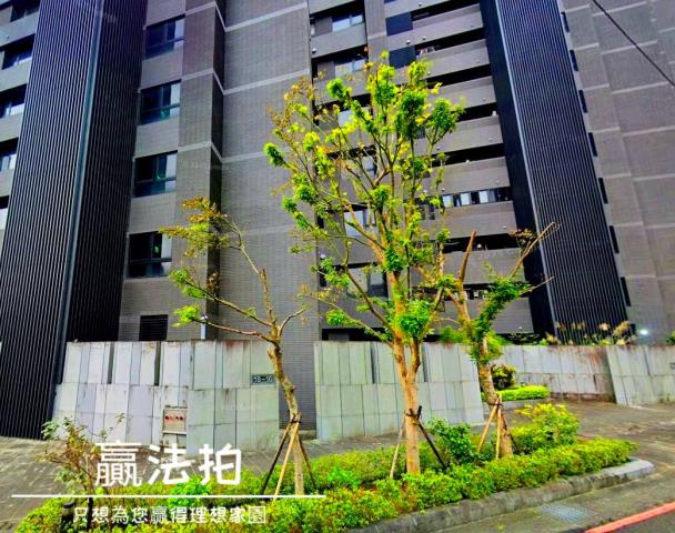 新店大樓拍賣-2