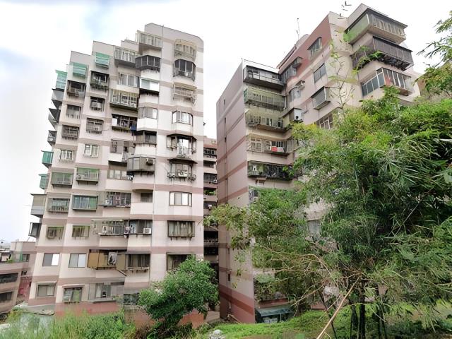 新北樹林大樓法拍-6